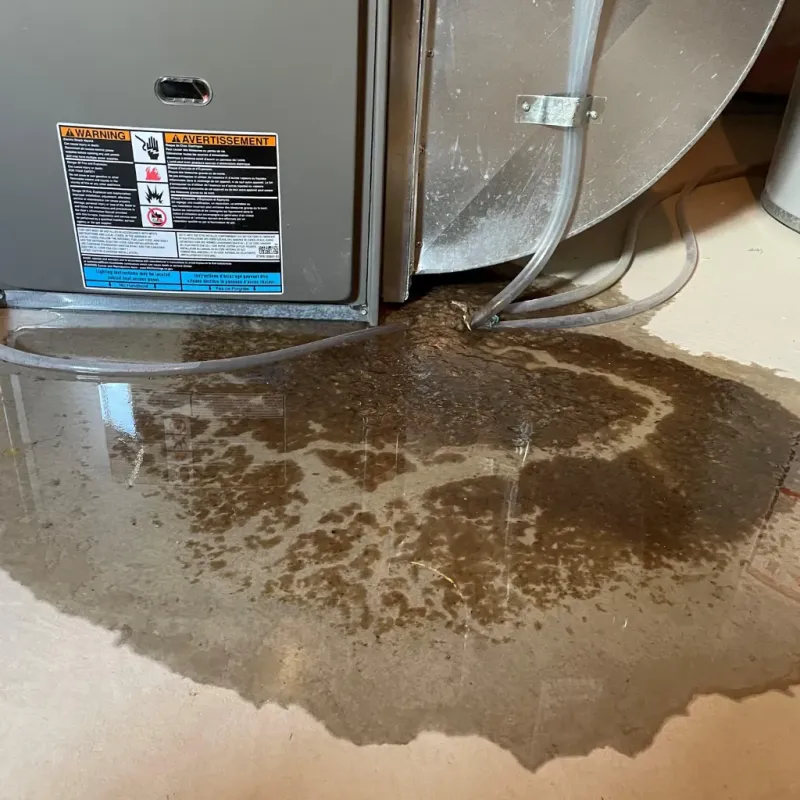 Appliance Leak Cleanup in Swanton, VT